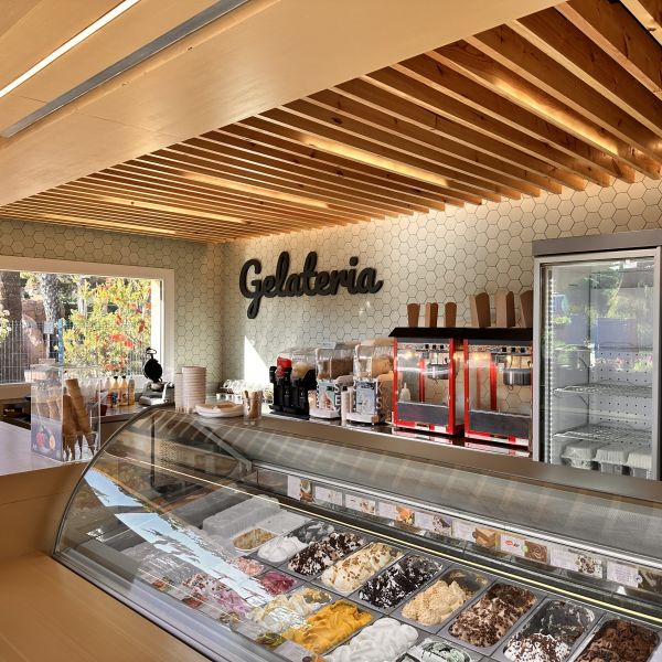 Galeria
